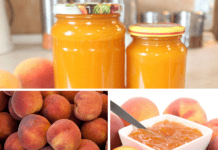 უგემრიელესი ატმის ჯემი ზამთვრისთვის