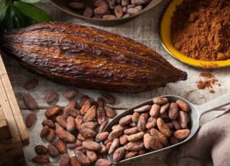 პროდუქტი, რომელსაც თუ ყოველდღიურად გამოიყენებთ კიბოს, ინფაქტის და დიაბეტის განვითარების რისკს შეამცირებს