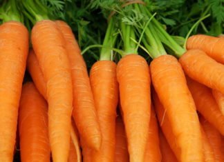 გაიგეთ რა სასარგებლო თვისებები აქვს სტაფილოს და რამდენად მნიშვნელოვანია ის თქვენი ორგანიზმისთვის