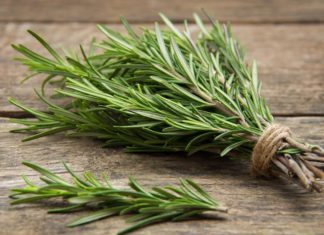 როზმარინი დაგეხმარებათ მეხსიერების გაუმჯობესებაში