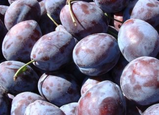 რატომ არის სასარგებლო ჯანმრთელობისთვის შავი ქლიავი