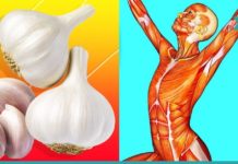 აი, რა მოხდება თუ უზმოზე ნიორს მიირთმევთ. მისი თვისებების შესახებ ყველამ უნდა იცოდეს