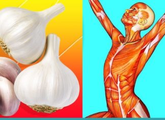 აი, რა მოხდება თუ უზმოზე ნიორს მიირთმევთ. მისი თვისებების შესახებ ყველამ უნდა იცოდეს