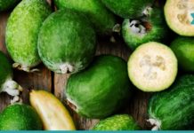 ფეიხოას სასარგებლო თვისებები გაგაოცებთ! ეს ყველამ უნდა იცოდეს