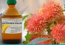 17 პრობლემა, რომელსაც აბუსალათინის ზეთით გაუმკლავდებით. აი, რატომ უნდა გქონდეთ ის სახლში