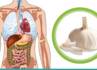 აი რა ხდება, როდესაც დილით უზმოზე ნიორს ჭამთ! ყველაფერი ამ პროდუქტის შესახებ