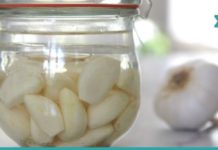 არაყი და ზეთი განუკურნებელი დაავადებების წინააღმდეგ! გაიგეთ უფრო მეტი შევჩენკოს მეთოდზე