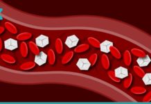 ამ პროდუქტის წყალობით ჩემს სისხლში ნაკლები ქოლესტერინი და შაქარია! ის, რაც უნდა იცოდეთ