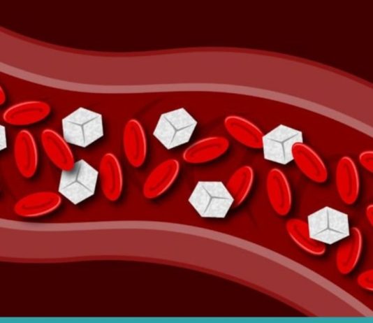 ამ პროდუქტის წყალობით ჩემს სისხლში ნაკლები ქოლესტერინი და შაქარია! ის, რაც უნდა იცოდეთ