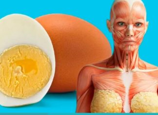 აი, რატომ უნდა მიირთვათ კვერცხი დღეში 3-ჯერ. საინტერესოა…