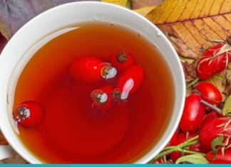 ასკილის უნიკალური თვისებები, რომლებიც აქამდე არ იცოდით