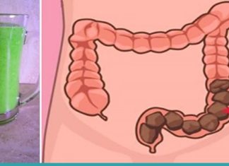 გამოდევნე ორგანიზმიდან ტოქსინები და ცხიმები სულ რაღაც 48 საათში! უმარტივესი დიეტა!