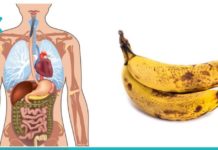 თუ დღეში ორჯერ შეჭამთ ბანანს ერთი თვის განმავლობაში, აი რა დაემართება თქვენს ორგანიზმს!