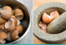 რა სამკურნალო თვისებები აქვს კვერცხის ნაჭუჭს? ამის წაკითხვის შემდეგ მას აღარასოდეს გადააგდებთ