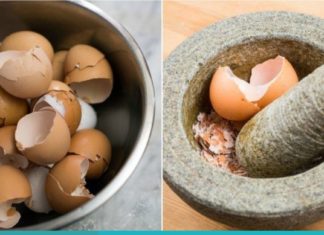 რა სამკურნალო თვისებები აქვს კვერცხის ნაჭუჭს? ამის წაკითხვის შემდეგ მას აღარასოდეს გადააგდებთ