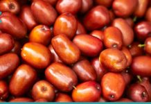 უნაბის სამკურნალო თვისებები. გაიგეთ, თუ როგორ აუმჯობესებს ის ჯანმრთელობას