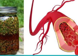 კამა, თაფლი და ვალერიანი-მოამზადეთ საუკეთესო საშუალება სისხლძარღვებისთვის!