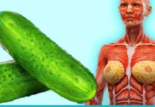 დაუმატეთ ეს ინგრედიენტი ერთ ჭიქა წყალს და დაწვით ცხიმები, დაიცავით გული და თავიდან აიცილეთ დიაბეტი.