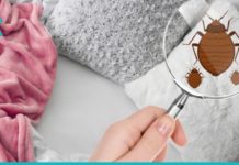 6 ბუნებრივი საშუალება ლოგინᲨი არსებული მიკრობებისგან თავის დასაცავად