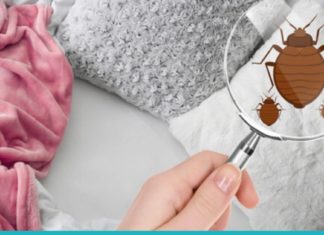 6 ბუნებრივი საშუალება ლოგინᲨი არსებული მიკრობებისგან თავის დასაცავად