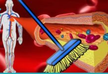 საკვები ნივთიერებები, რომლებიც ასუფთავებენ არტერიებს