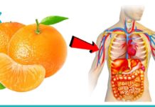 მანდარინის სამკურნალო თვისებები. ყველასათვის საყვარელ ციტრუსს უამრავი დაავადების განკურნება შეუძლია