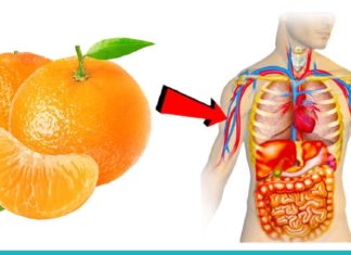 მანდარინის სამკურნალო თვისებები. ყველასათვის საყვარელ ციტრუსს უამრავი დაავადების განკურნება შეუძლია