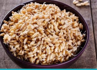 გაღივებული ხორბალი- მომენტალური გამაჯანსაღებელი საშუალება თქვენი ორგანიზმისთვის