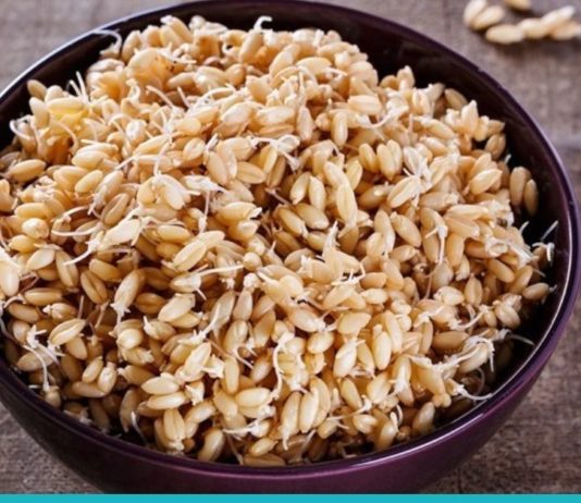 გაღივებული ხორბალი- მომენტალური გამაჯანსაღებელი საშუალება თქვენი ორგანიზმისთვის