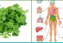 ერთი ბუნებრივი ინგრედიენტი და უამრავი დაავადების მკურნალობა