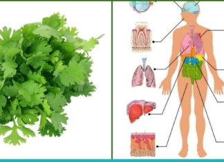 ერთი ბუნებრივი ინგრედიენტი და უამრავი დაავადების მკურნალობა