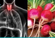 ეს ბუნებრივი საშუალება აღადგენს ფარისებრი ჯირკვალს, ნაღვლის ბუშტს და ებრძვის ყაბზობას