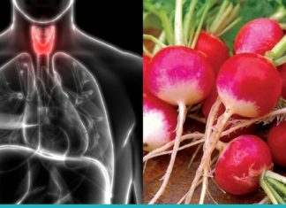 ეს ბუნებრივი საშუალება აღადგენს ფარისებრი ჯირკვალს, ნაღვლის ბუშტს და ებრძვის ყაბზობას