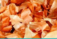 შეწყვიტეთ ხავხის ფურცლების გადაყრა. აი რამდენ რამეში გამოიყენებთ მას