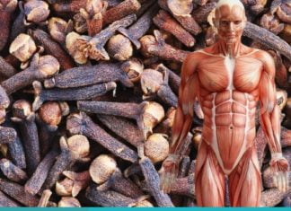 მიხაკის 8 სასარგებლო თვისება, რომელიც ყველამ უნდა იცოდეს. ყველაფერი ამ საოცარი მცენარის შესახებ