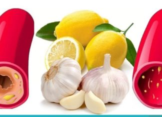 ძველი ჩინური რეცეპტი: აქრობს ქოლესტერინს, ხელს უშლის ინსულტისა და ინფარქტის განვითარებას, ასუფთავებს სისხლის ნაკადს.