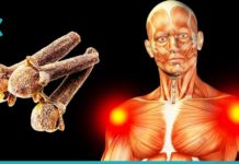 11 ბუნებრივი ანტიბიოტიკი, რომლებიც წმენდენ თქვენს ორგანიზმს ბაქტერიებისგან.