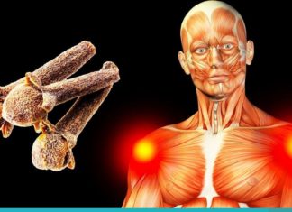 11 ბუნებრივი ანტიბიოტიკი, რომლებიც წმენდენ თქვენს ორგანიზმს ბაქტერიებისგან.