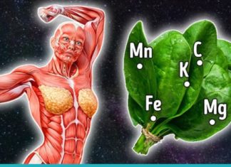 მცენარე, “რომელსაც ღმერთის საჩუქარს” უწოდებენ. მას შეუძლია 100-ზე მეტი დაავადების განკურნება!