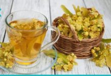 ცაცხვის სასარგებლო თვისებები ჯანმრთელობისთვის