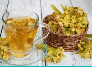 ცაცხვის სასარგებლო თვისებები ჯანმრთელობისთვის