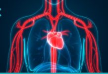 უმკურნალეთ სისხლის მიმოქცევის დარღვევას სახლის პირობებში