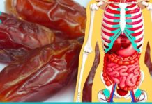 მიირთვით ყოველ დღე 3 ცალი ფინიკი და დაემშვიდობეთ გულისა და სისხლძარღვების დაავადებებს