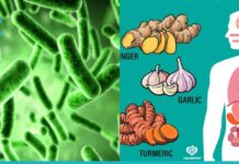 მცენარეული ანტიბიოტიკები, რომლებიც თქვენს ორგანიზმს წმენდენ ბაქტერიებისგან.