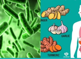 მცენარეული ანტიბიოტიკები, რომლებიც თქვენს ორგანიზმს წმენდენ ბაქტერიებისგან.