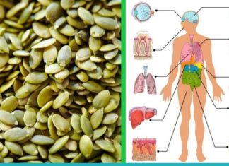 აი, ასე უნდა მიირთვათ გოგრის თესლი, რომ შეამციროთ პარაზიტები, ქოლესტერინი, დიაბეტი და სხვადასხვა დაავადებები.