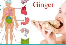 როგორ მოვამზადოთ კოჭა შაკიკის, გულძმარვის და სახსრების ტკივილის სამკურნალოდ?!