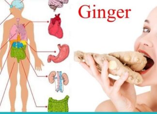 როგორ მოვამზადოთ კოჭა შაკიკის, გულძმარვის და სახსრების ტკივილის სამკურნალოდ?!