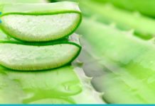 რაში გვეხმარება ალოე? გაიგეთ მისი საოცარი თვისებების შესახებ
