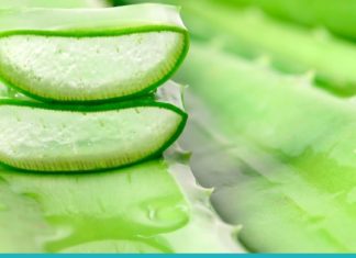 რაში გვეხმარება ალოე? გაიგეთ მისი საოცარი თვისებების შესახებ